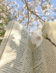 °⋆L’Antre des Rêves °⋆'s avatar