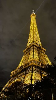 💍~Lilyrose~💍's avatar