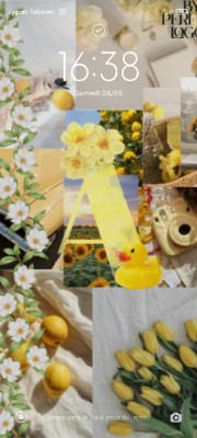 Petite tortue 🐢's avatar