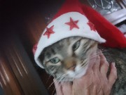 Stella😝✨'s avatar