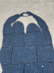 Yade’s and Nicky’s shop's avatar