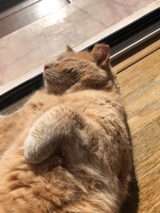 Lesdeuxfleurs's avatar