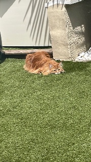 Julieeeeeee's avatar