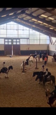 Celeste and Camille's avatar