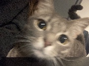 𝐏𝐚𝐮𝐥𝐢𝐧𝐞 🥂🐆🪩's avatar