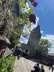 🧸🎀🎧Nisaslife🎧🎀🧸's avatar