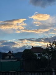 Maietta🫐☁️✨'s avatar