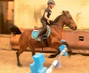 ETG_Horse_Game's avatar