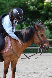 𝓁’ison's avatar