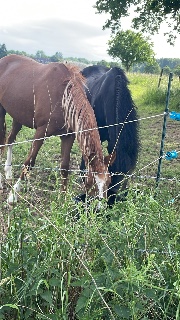 Coco❤️‍🔥's avatar