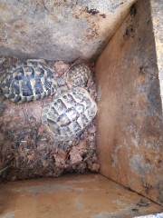 PetitProut8 's avatar