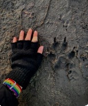 Azur_29❤️‍🔥's avatar