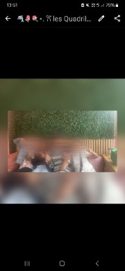 Les quadrilatère 's avatar