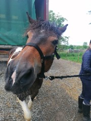 Cléa 🇵🇹 ♥️ 's avatar