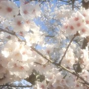 J&C💗🎀's avatar