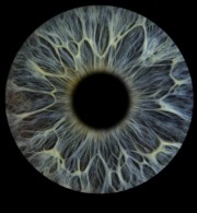 Meli💀💀's avatar