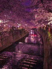 Cocogiaccone121 's avatar