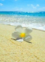 Sunny💛🤪's avatar