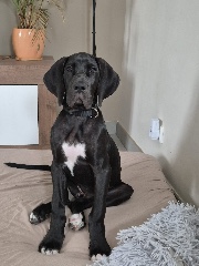 🫶🏻Camille🫶🏻's avatar