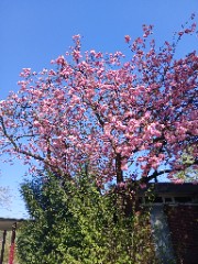 BETÜL 💗 💗 💗 's avatar