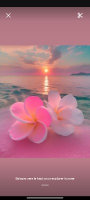 🌺lylou🌺's avatar