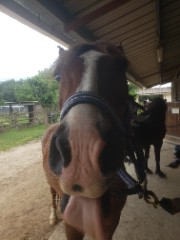 Elle et moi 's avatar