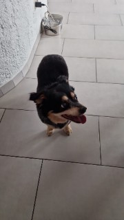 🦆Ente🦆's avatar