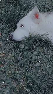 ☆~Le baddies~☆'s avatar