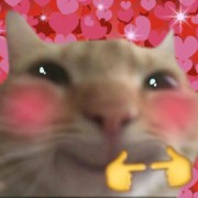 Soline 🤍✨'s avatar