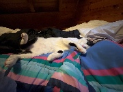 Nono 💋✨'s avatar