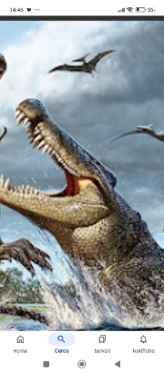 💎S.M💎's avatar