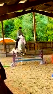 @Nos_Lifes 's avatar