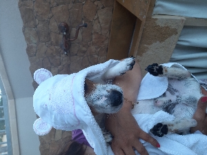 Bartsimsomp's avatar