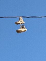 °°•secound dairy•°°'s avatar