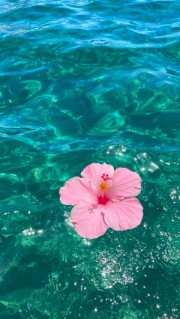 ✨ Just a k-pop stan ✨'s avatar