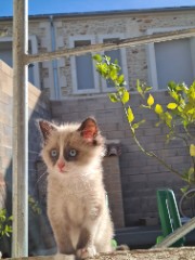 Sunkissed Vibes #Talia 🎀 's avatar