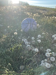 Malu 🌴✨'s avatar