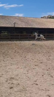 Micole ❤🏇's avatar