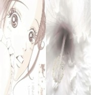 𐔌hᥲchi lover! ꒱'s avatar