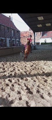 Eléonorelovehorse's avatar