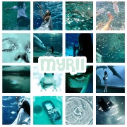 MYRII (마이리)'s avatar