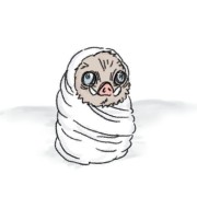 ⋆.˚✮𝐼𝑁𝑂𝑆𝑈𝐾𝐸✮˚.⋆'s avatar