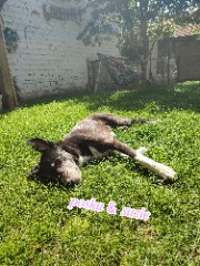 Suzie & poska's avatar