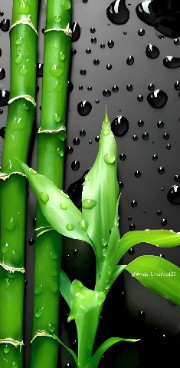 @Spencer @gmail.com's avatar