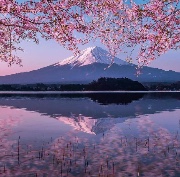 Just E&M Life 's avatar