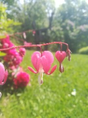 Le P'tit Sprotif 💪 (Léonie) 's avatar