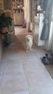 Coco❤️😎💫's avatar