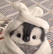 🇰🇷💙🌸✨💫💚's avatar