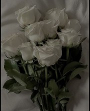 ✨Nina&Larisa✨ 's avatar