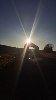 Anni🌹✨'s avatar